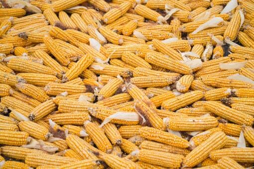 ���յ����׼۸����Ǯһ��