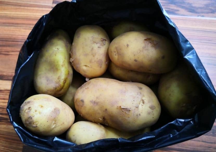 ������ѿ���ܳ���