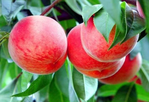 ������������ô���� ����Ҫ����ʲô