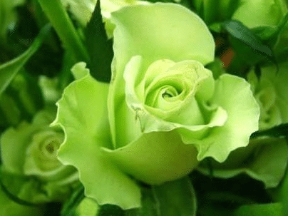 ɫõ<a href='https://www.yangji120.com/life/list-90/' target='_blank'><u></u></a>ʲô ʲôԢ