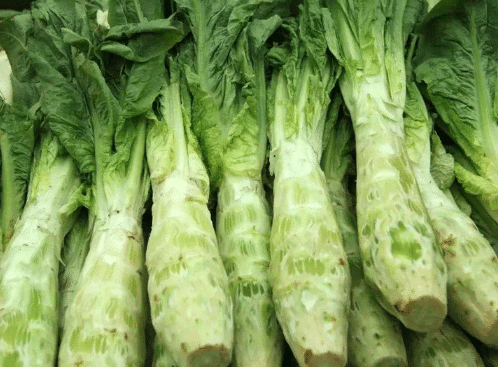 ݫֲ ݫֳô