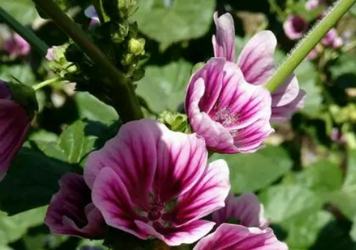 ������ֲʱ�� ������ôʩ�ʹ�����