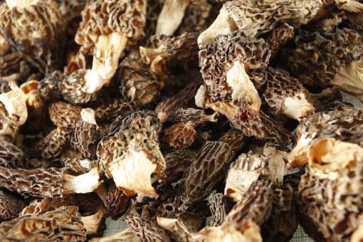 羊肚菌价格多少钱一斤2021