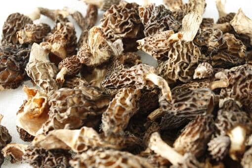 羊肚菌哪里产的最好