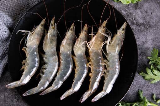 ��Ϻ�ͻ�ΧϺ������