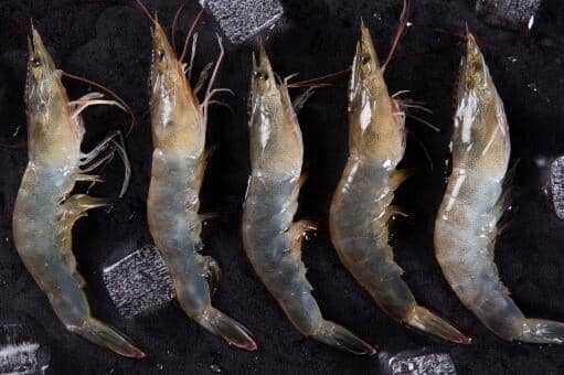 ��Ϻ�óԻ��ǻ�ΧϺ�ó�