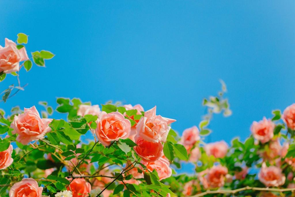 微信朋友圈经典短句