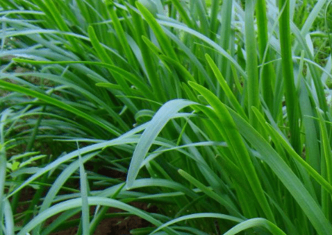 �紺���Ҿ²��ո�ע��ʲô �²�Ӧ����ô��ֳ