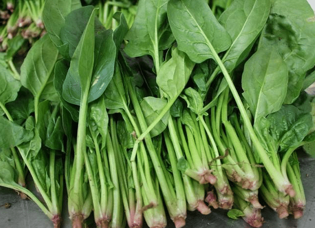 越冬菠菜怎么施肥 高产施肥方法是什么