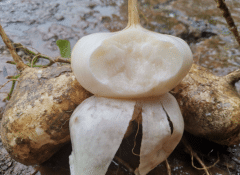 ��������ʱ������޼����޼�ʱӦ��ע��ʲô