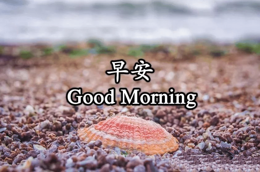 �簲ů�Ļ��̾�