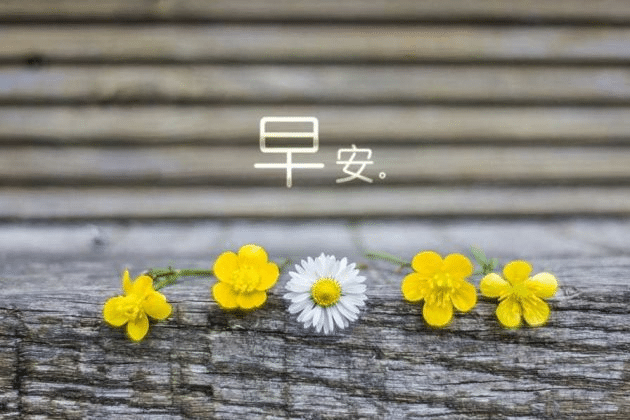 �簲ů�Ļ��̾�