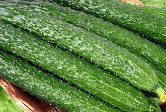 ϶ڼһƹϹ ƹӦôֳ
