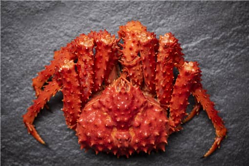 ����з����Ǯһֻ