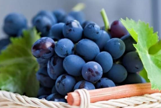 ��������������ʲô ����Ӧ����ô��ֳ