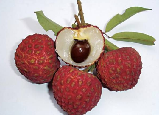 ��֦���������� ��֦��ʲô��Ч