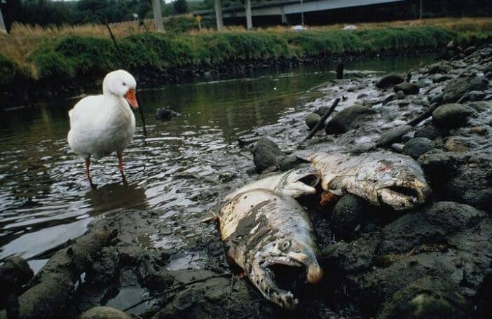 ˮȾҪԴʲô