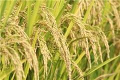 ���ȼ۸���������2021�꣺���ڶ���Ǯһ�������ȫ���������¼۸�