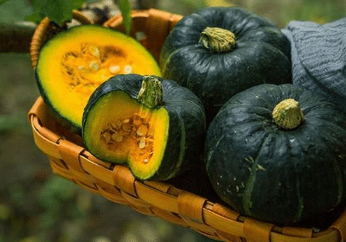 �����Ϲ������������ �Ϲ�Ӧ����ô��ֳ