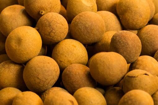 ���ۺ͹�Բ��ͬһ��ˮ����