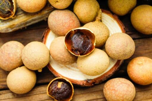 ��Բ����������