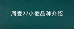 27СƷֽ