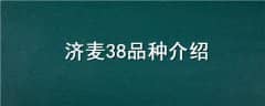 38Ʒֽ