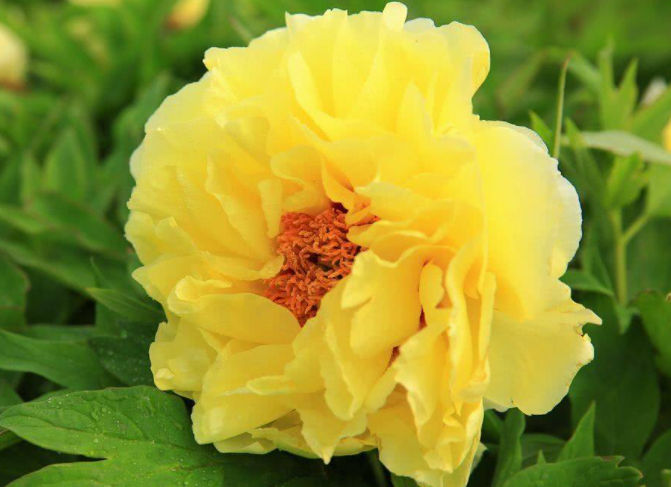 ���￪ʲô�� �����ͻ���Ԣ����ʲô