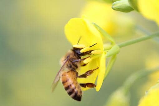 �۷�������ô����ֹ��