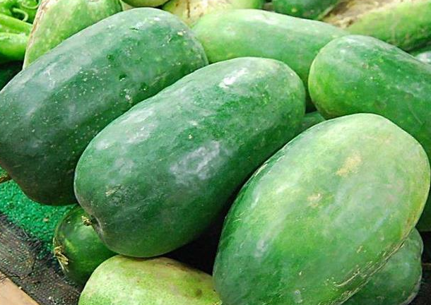 ��ֲ���Ͽ�ή���ı���������ʲô ��ν��з���