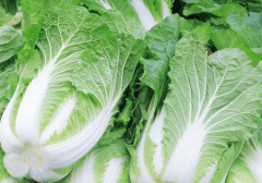 ��ײ˲˶��Σ��������ʲô�����η�������Щ