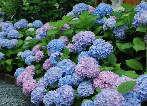 ���򻨳�������ô���� ��ν��з���