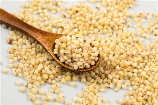 现在高粱市场价格多少钱一斤