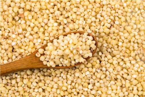 高粱价格最新报价