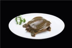 2021�������ֳǰ����������������ֳ�����������