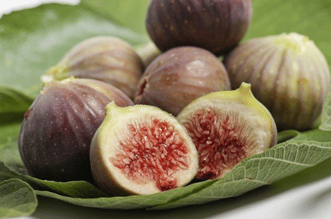 ޻ ޻ֳʱҪעʲô