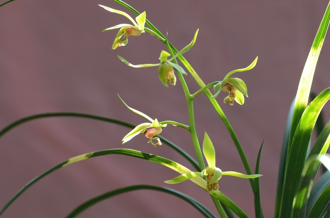 ����������ô���� ���Ի�����