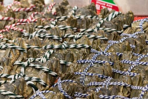 2021年大闸蟹上市时间