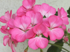 ���ÿ�ʲôʱ���޼��ã���������ô�޼�