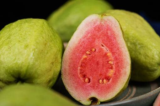 番石榴的籽能吃吗