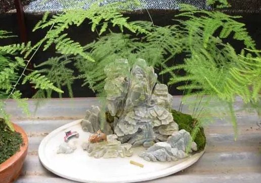 Ϊʲô����������� ������������ʲô�ô�