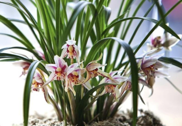 ���µ�һ����ʲô�� ����ʱ����Щע������