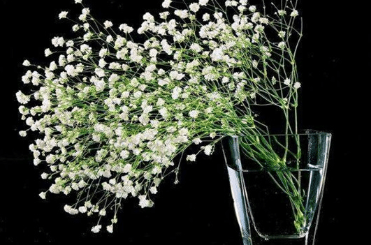 ������ˮ��������ʲô ����Щע������