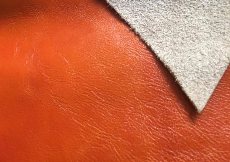 Ƥ�����Ƥ��������ʲô