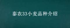 ̩ũ33СƷֽ
