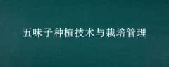 ζֲ