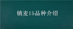 15Ʒֽ