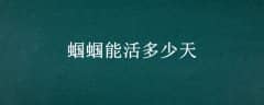 ܻ