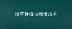 ֲ̲༼