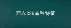 ũ226Ʒ